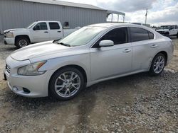 Nissan salvage cars for sale: 2014 Nissan Maxima S