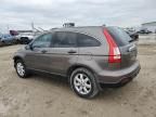 2009 Honda CR-V EX