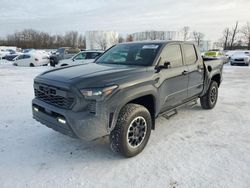 Salvage cars for sale from Copart Central Square, NY: 2024 Toyota Tacoma Double Cab