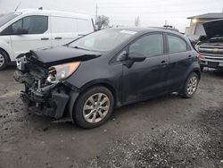 Salvage cars for sale at Eugene, OR auction: 2013 KIA Rio LX