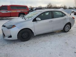 Salvage cars for sale at London, ON auction: 2018 Toyota Corolla L