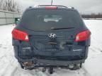 2008 Hyundai Santa FE SE