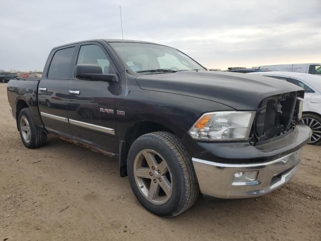 2009 Dodge RAM 1500