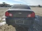 2008 Chevrolet Malibu 1LT