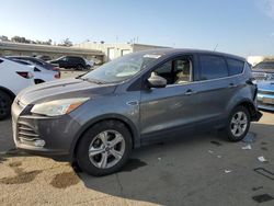 Salvage cars for sale at Martinez, CA auction: 2014 Ford Escape SE