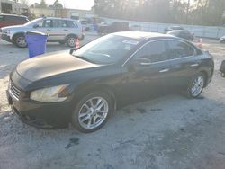 2010 Nissan Maxima S en venta en Knightdale, NC