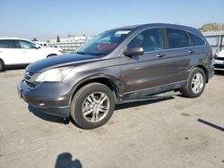 Salvage cars for sale at Bakersfield, CA auction: 2010 Honda CR-V EXL