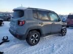 2019 Jeep Renegade Trailhawk