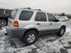 2007 Ford Escape XLS