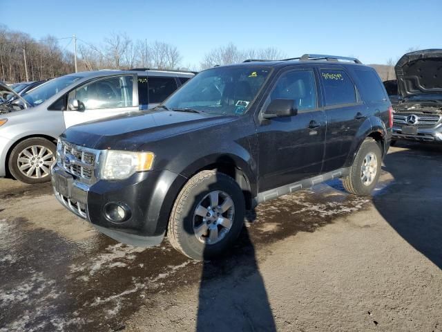 2011 Ford Escape Limited