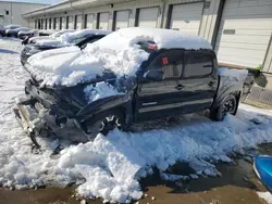 Toyota salvage cars for sale: 2007 Toyota Tacoma Double Cab