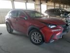 2020 Lexus NX 300 Base