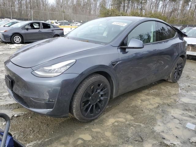 2020 Tesla Model Y