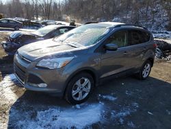 Salvage cars for sale at Marlboro, NY auction: 2014 Ford Escape SE