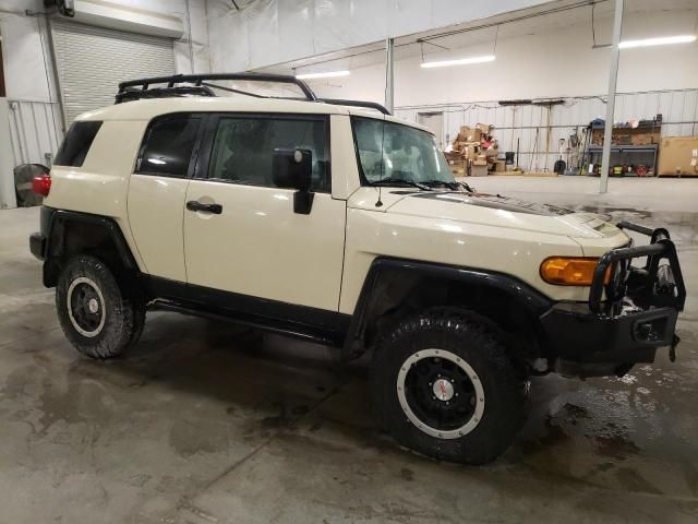 2010 Toyota FJ Cruiser