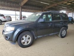 Salvage cars for sale at American Canyon, CA auction: 2009 Ford Escape XLT