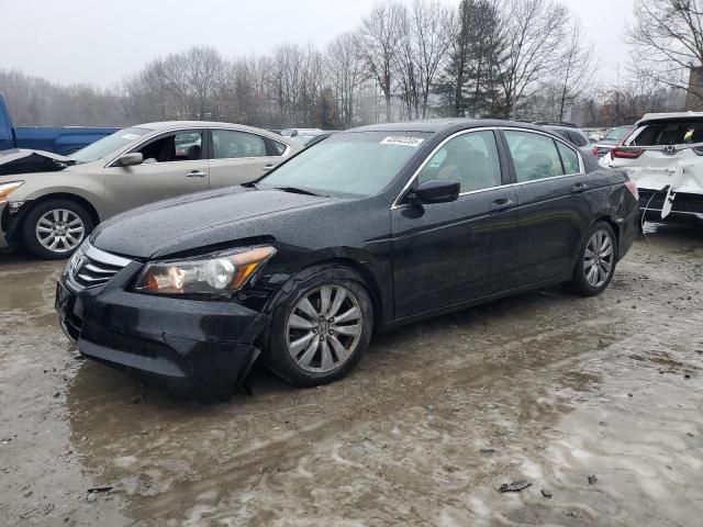 2011 Honda Accord EXL