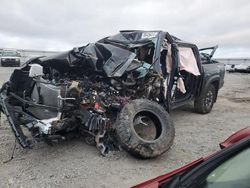 Salvage cars for sale at Earlington, KY auction: 2023 Toyota Tacoma Double Cab