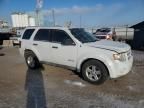 2010 Ford Escape Hybrid