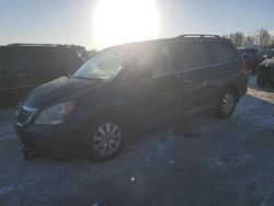 Salvage cars for sale at Wayland, MI auction: 2010 Honda Odyssey EXL