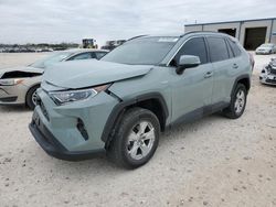 Hybrid Vehicles for sale at auction: 2021 Toyota Rav4 XLE