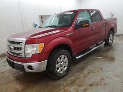 2014 Ford F150 Supercrew en venta en Madisonville, TN