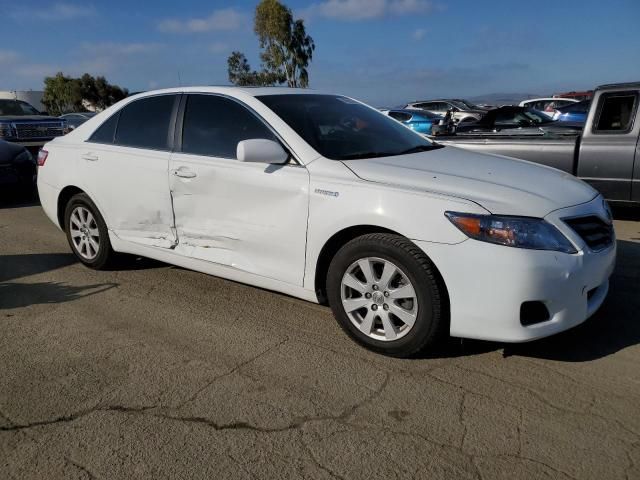 2009 Toyota Camry Hybrid