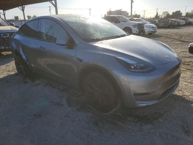 2025 Tesla Model Y