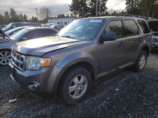 2009 Ford Escape XLT