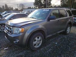 2009 Ford Escape XLT en venta en Graham, WA