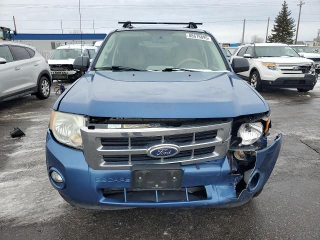 2010 Ford Escape XLT