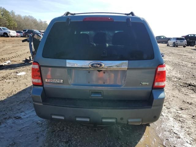 2010 Ford Escape Limited