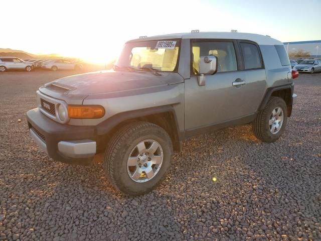 2010 Toyota FJ Cruiser