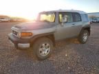 2010 Toyota FJ Cruiser