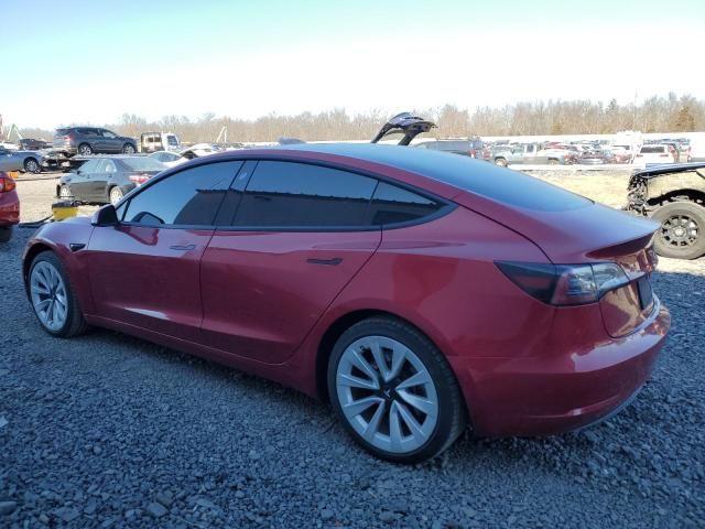 2021 Tesla Model 3