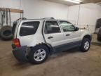 2005 Ford Escape XLT