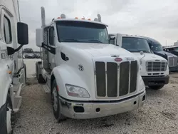 Salvage trucks for sale at San Antonio, TX auction: 2016 Peterbilt 579