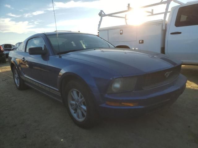 2006 Ford Mustang