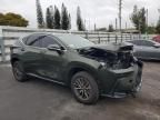 2025 Lexus NX 250 Base