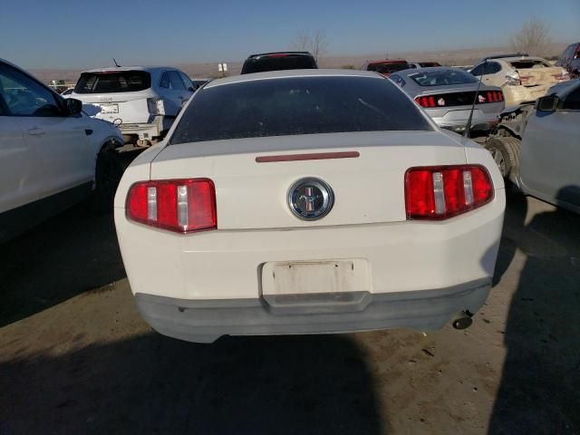 2010 Ford Mustang