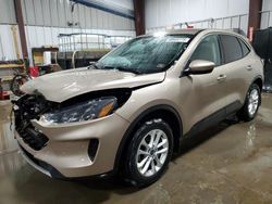 Ford Escape se salvage cars for sale: 2020 Ford Escape SE