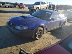 Salvage cars for sale at Spartanburg, SC auction: 2002 Ford Mustang GT