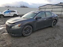 Nissan salvage cars for sale: 2014 Nissan Maxima S