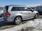 2010 Mercedes-Benz GL 450 4matic