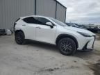 2024 Lexus NX 250 Premium