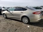 2015 Ford Fusion SE Hybrid