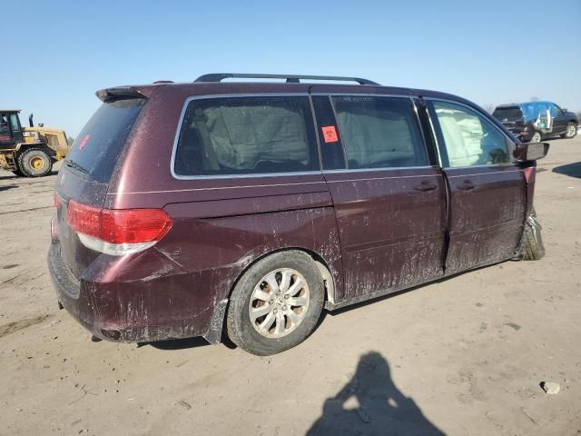 2008 Honda Odyssey EXL