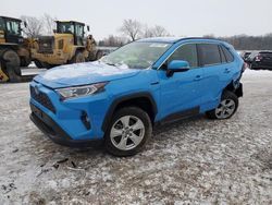 Salvage cars for sale at Columbia Station, OH auction: 2021 Toyota Rav4 XLE