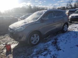 Hyundai Tucson salvage cars for sale: 2010 Hyundai Tucson GLS