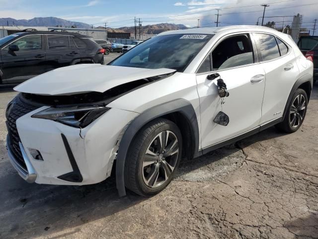 2019 Lexus UX 250H